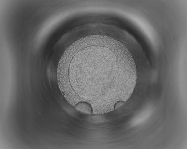 X0000112910431200908311241