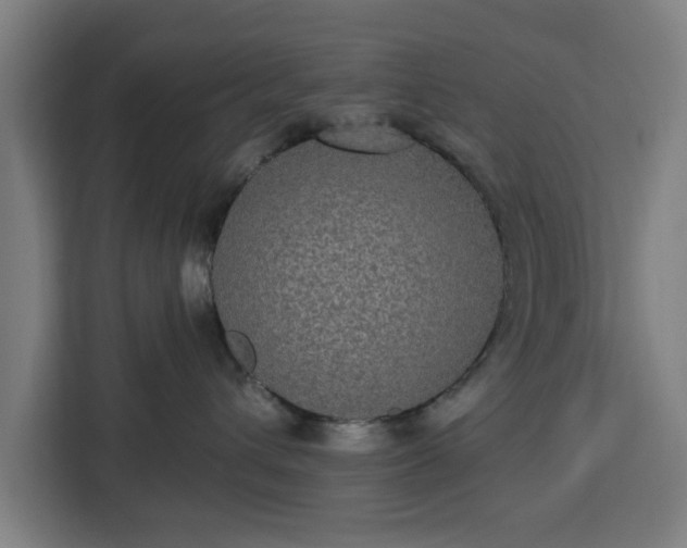 X0000112910432200908311241