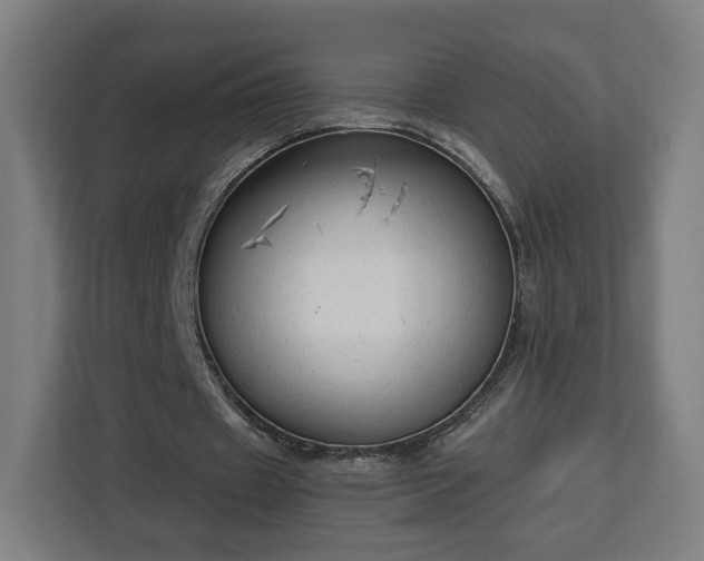 X0000112910433200908311240