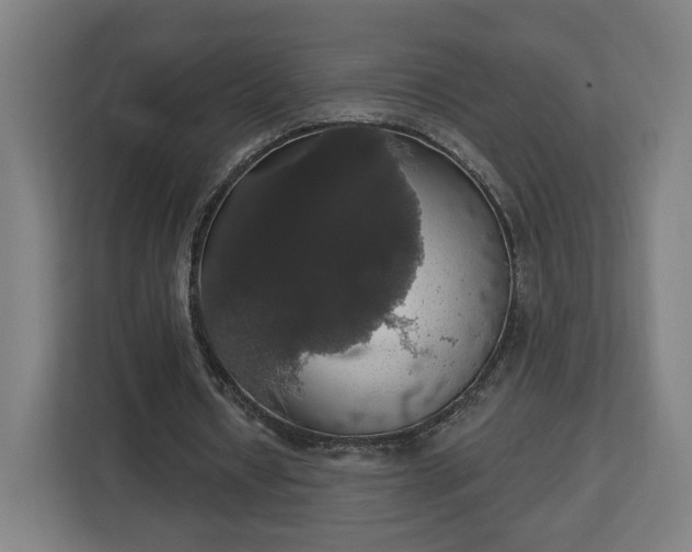 X0000112910434200908311240