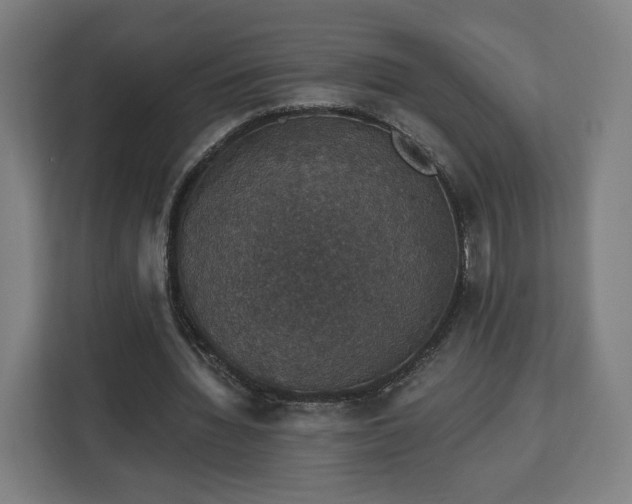 X0000112910436200908311240