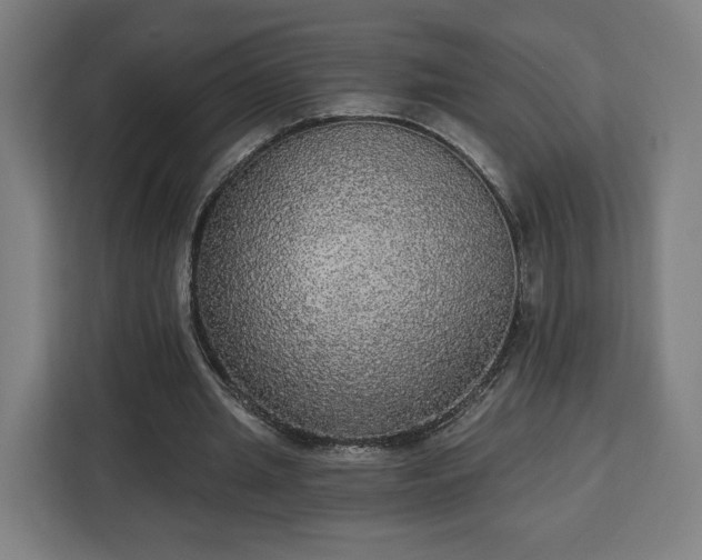 X0000112910437200908311240