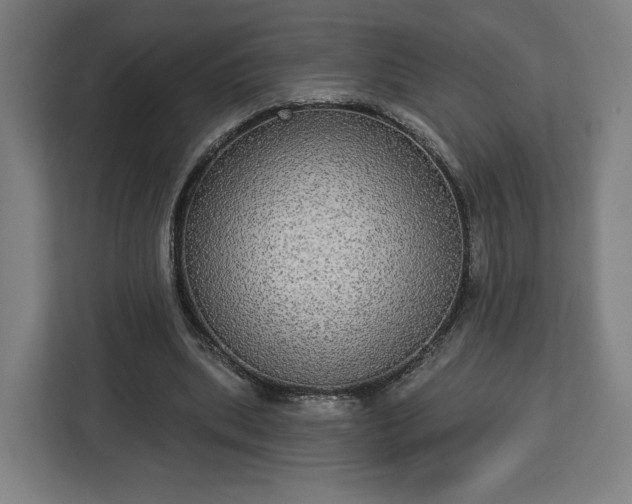 X0000112910439200908311240