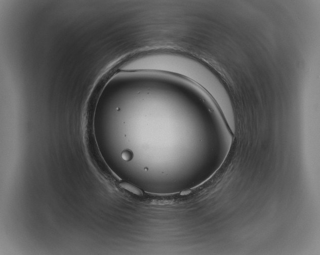 X0000112910440200908311240