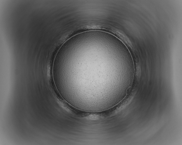 X0000112910441200908311240