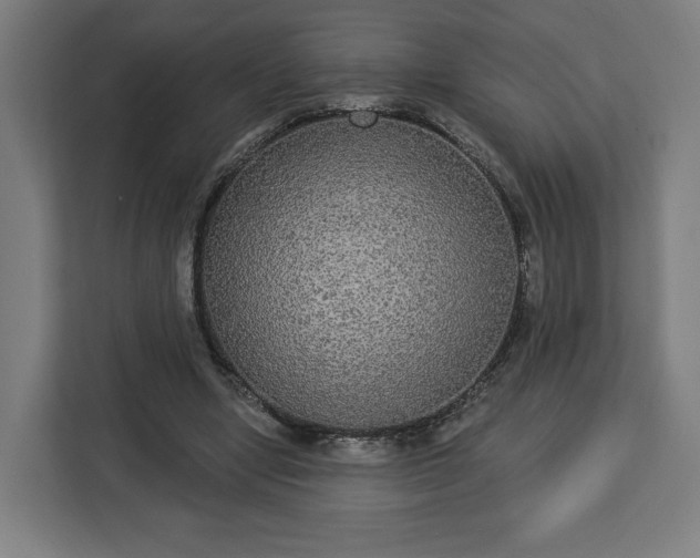 X0000112910442200908311240