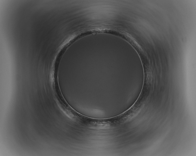 X0000112910443200908311240