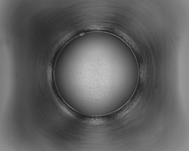 X0000112910445200908311240