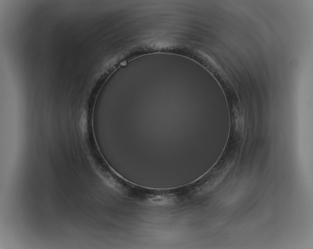 X0000112910447200908311240