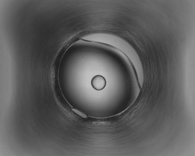 X0000112910448200908311240