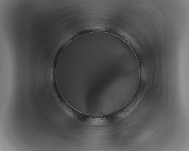 X0000112910449200908311240