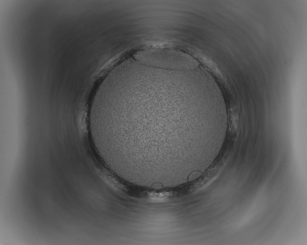 X0000112910450200908311240