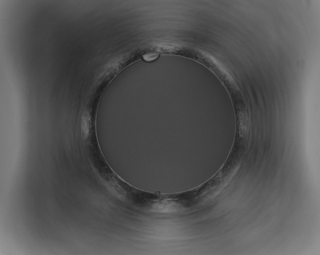 X0000112910451200908311240