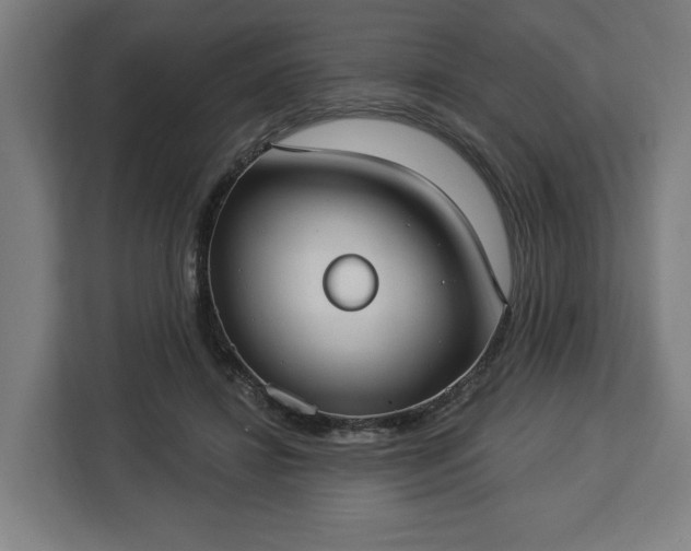 X0000112910452200908311240