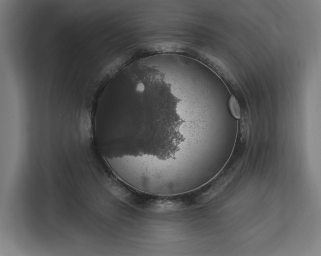 X0000112910453200908311240