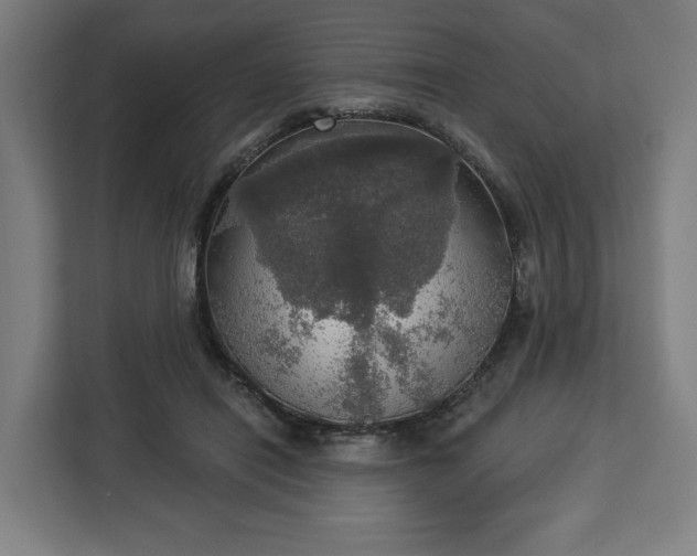 X0000112910454200908311240