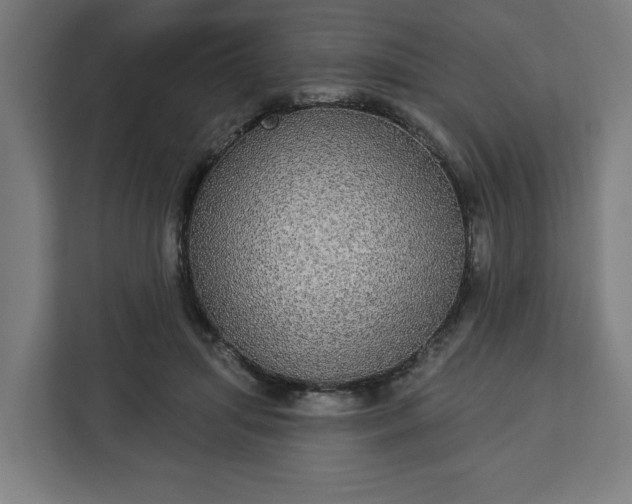 X0000112910455200908311240