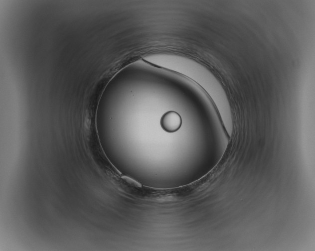 X0000112910456200908311240