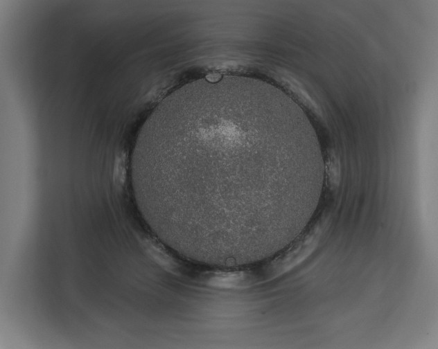 X0000112910458200908311240