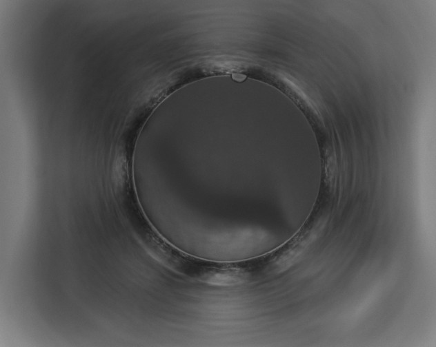 X0000112910459200908311240