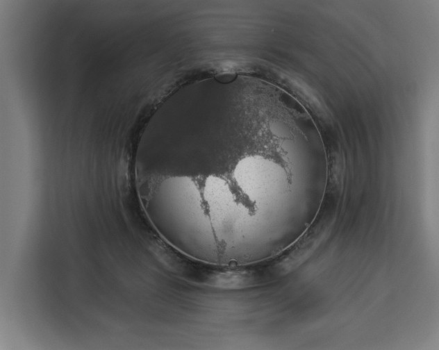 X0000112910461200908311240