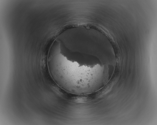 X0000112910462200908311240