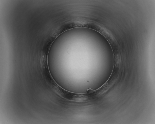 X0000112910463200908311240