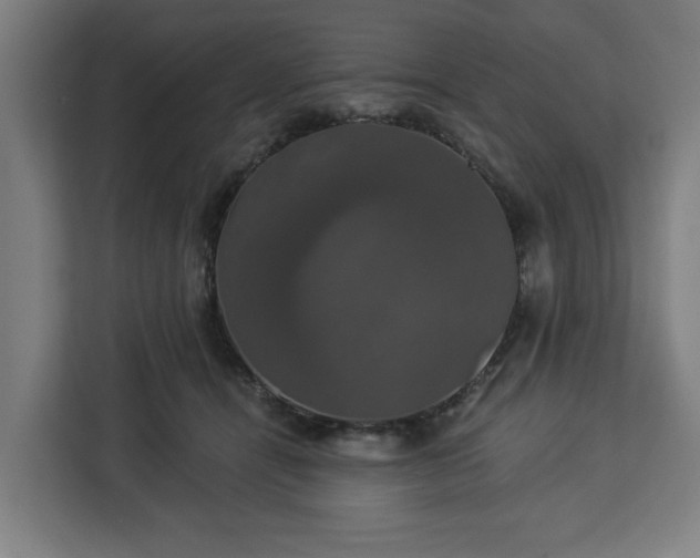 X0000112910464200908311240