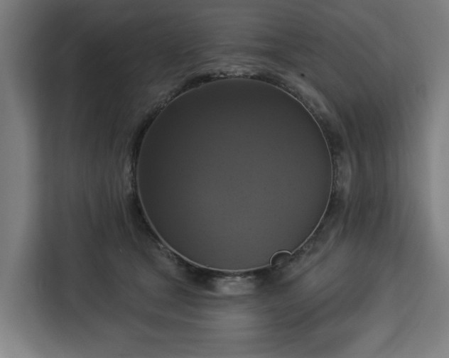 X0000112910465200908311240