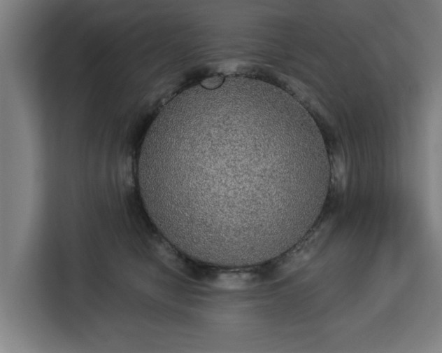 X0000112910470200908311241