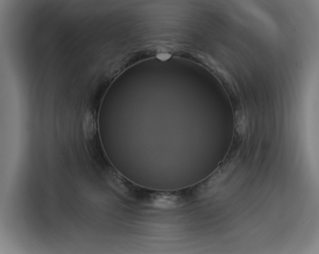 X0000112910471200908311241