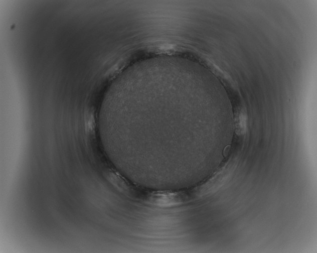 X0000112910472200908311241