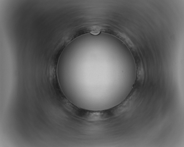 X0000112910473200908311241