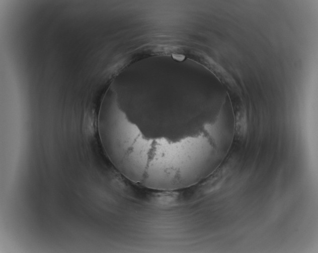 X0000112910474200908311241