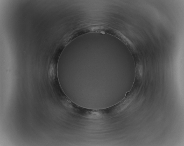 X0000112910475200908311241