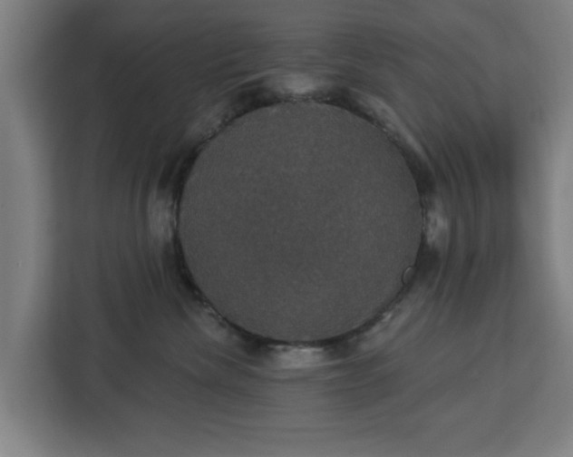 X0000112910476200908311241