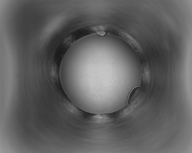 X0000112910477200908311241