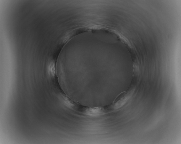 X0000112910479200908311241