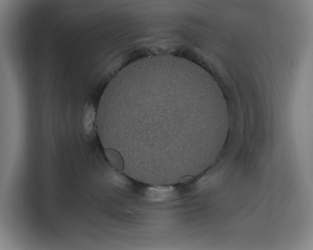 X0000112910480200908311241