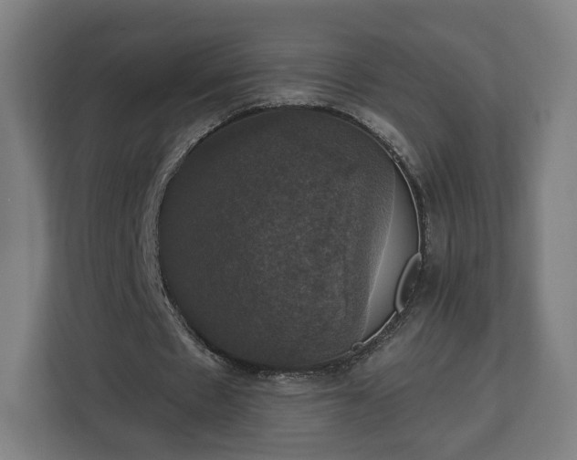 X0000112910481200908311240