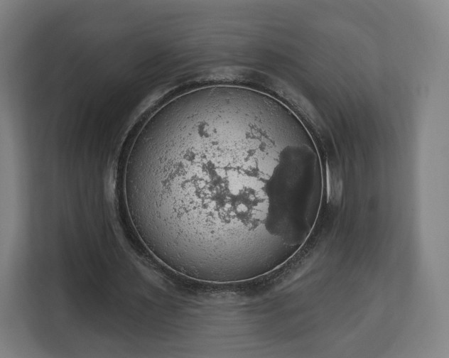 X0000112910483200908311240