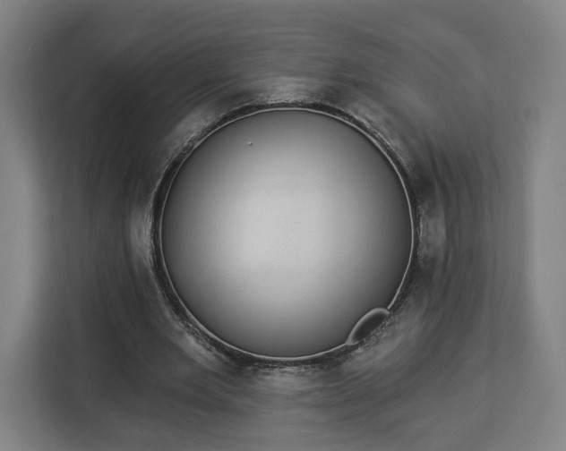 X0000112910485200908311240