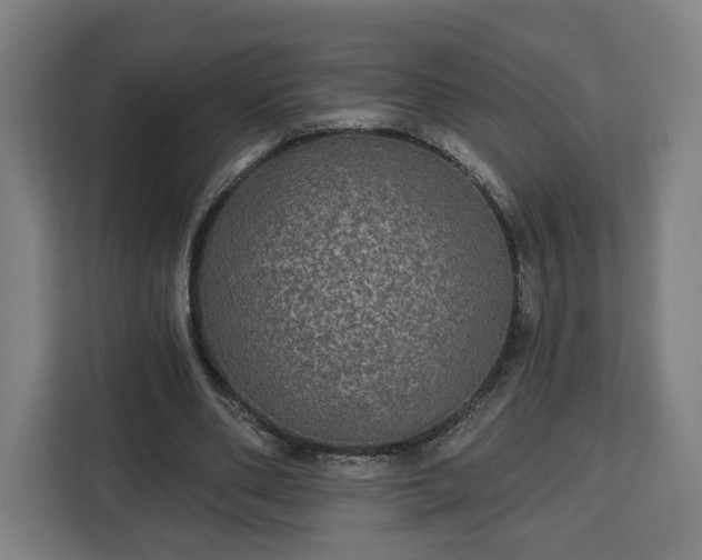 X0000112910486200908311240