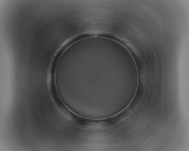 X0000112910488200908311240