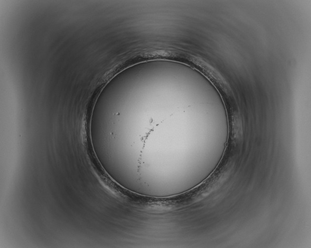 X0000112910489200908311240