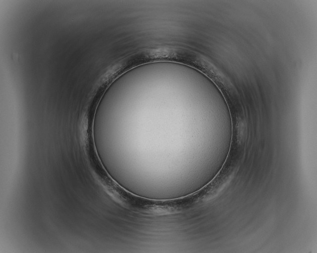 X0000112910490200908311240