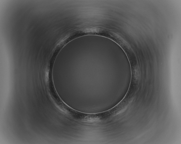 X0000112910491200908311240