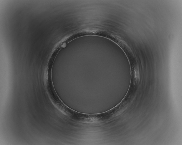 X0000112910492200908311240