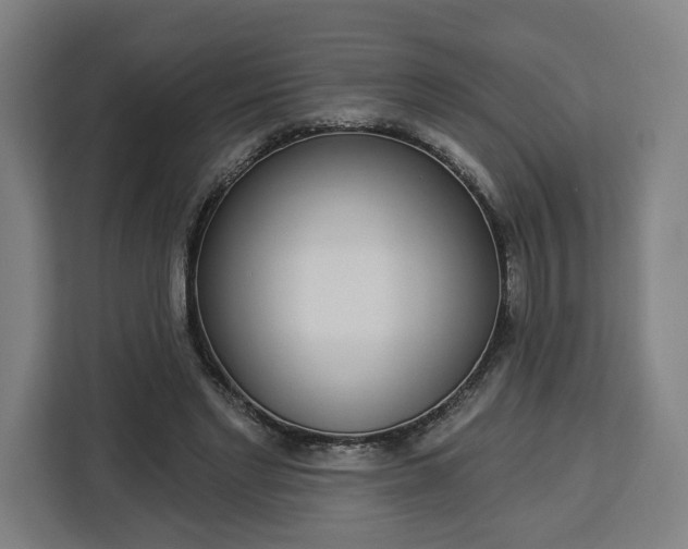 X0000112910493200908311240