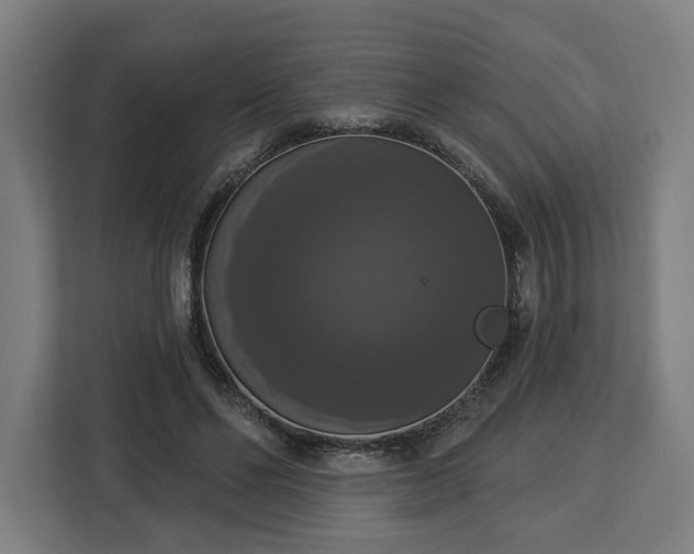 X0000112910494200908311240